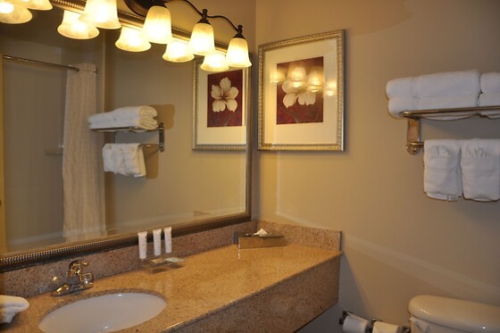 Online Booking EPS - photo 7