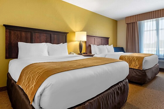 Online Booking EPS - photo 8