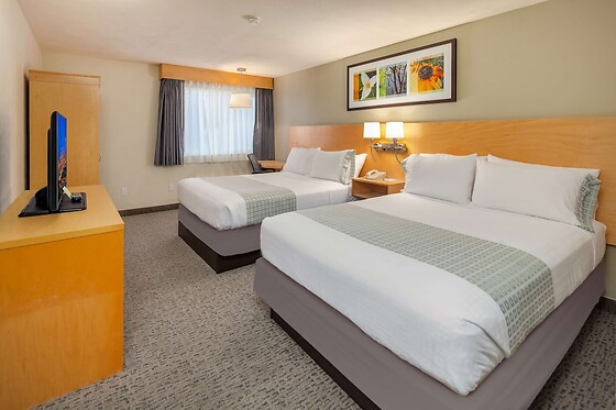 Online Booking EPS - photo 2