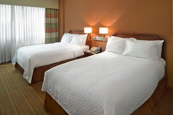 Online Booking EPS - photo 6