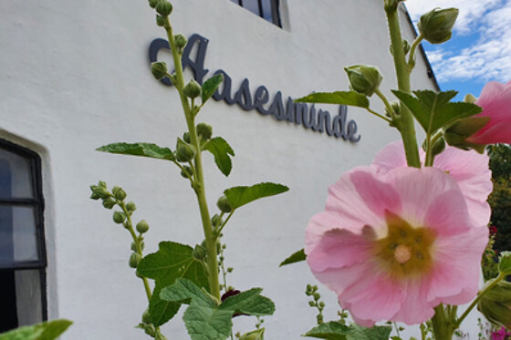 Aasesminde B&B - photo 0
