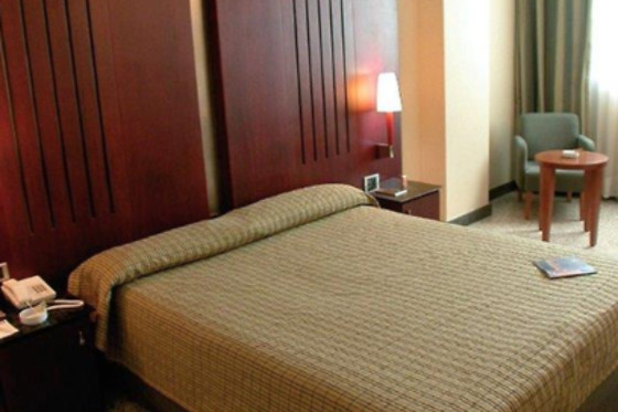 HOTEL AMALTEA - photo 6