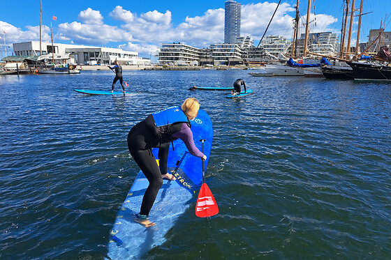 Surf agency - photo 2