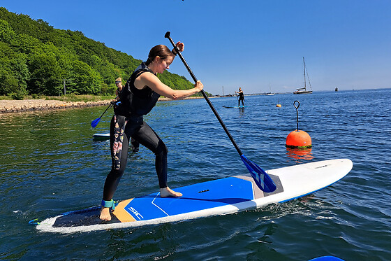 Surf agency - photo 0
