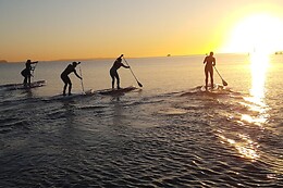 Surf agency