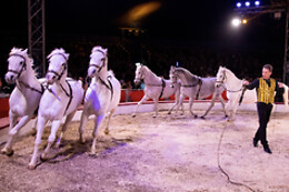 Cirkus Arena