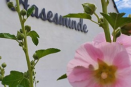 Aasesminde B&B