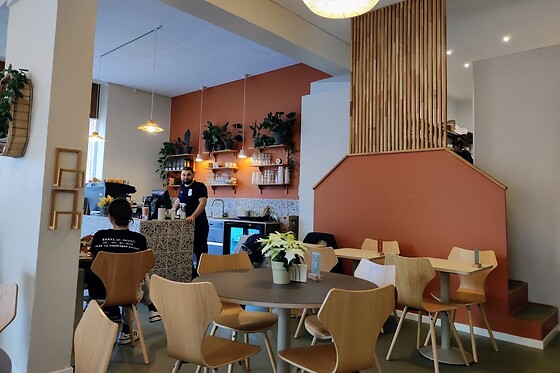 Baryl Frederiksberg - photo 1